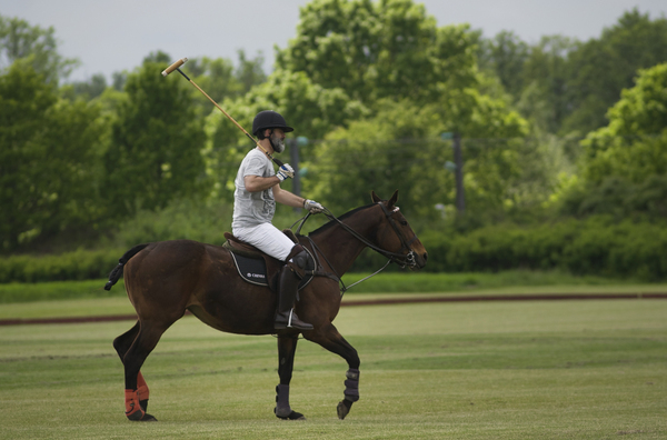 Polo med Heste - En kongesport